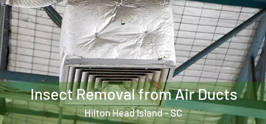  Insect Removal from Air Ducts Hilton Head Island - SC