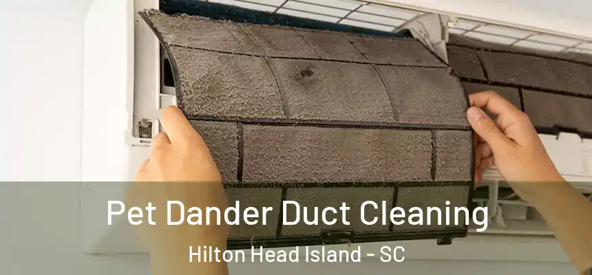  Pet Dander Duct Cleaning Hilton Head Island - SC