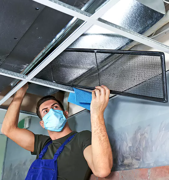 About Air Duct Bacteria Removal in Hilton Head Island