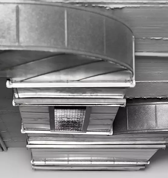 Professional Air Duct Pet Hair Removal in Hilton Head Island, SC