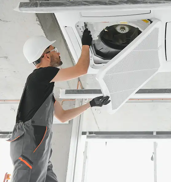 About Air Duct Rodent Removal in Hilton Head Island, SC