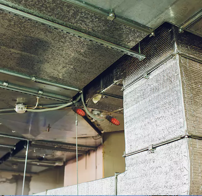 Why Homeowners & Businesses Trust Us in Hilton Head Island, SC?