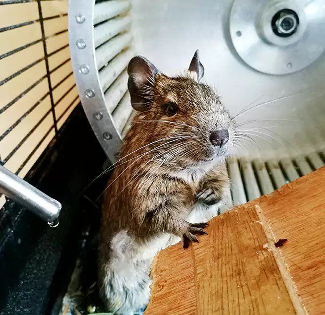 Why Homeowners & Businesses Trust Us Hilton Head Island, SC?