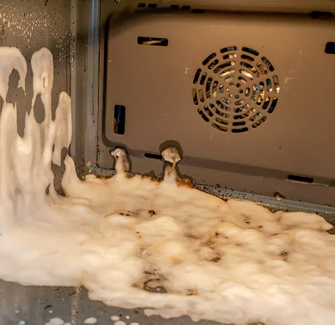 Why Homeowners & Businesses Trust Us in Hilton Head Island, SC?