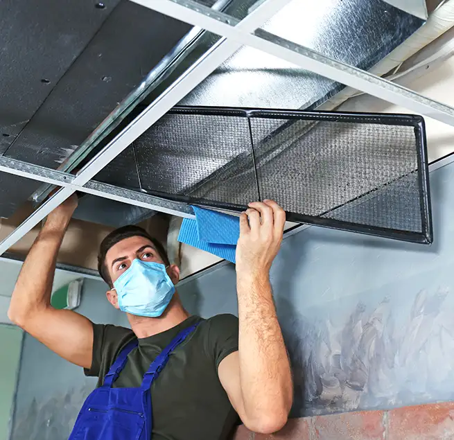 Why Homeowners & Businesses Trust Us in Hilton Head Island, SC?