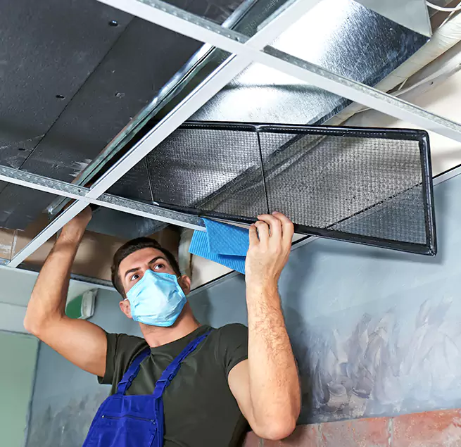 Why Homeowners & Businesses Trust Us in Hilton Head Island, SC?